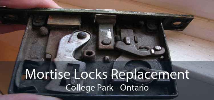 Mortise Locks Replacement College Park - Ontario