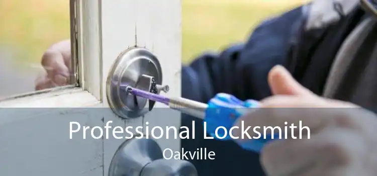 Professional Locksmith Oakville