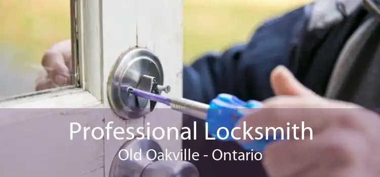 Professional Locksmith Old Oakville - Ontario